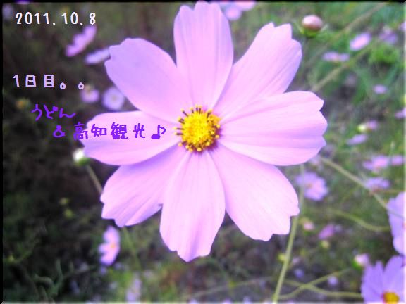 今年3回目の四国へ。。　1日目