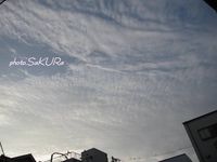 本日の空。。 2010/07/05 19:51:38