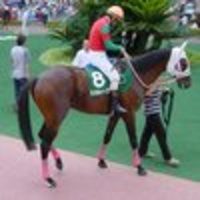 夏競馬