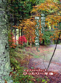 紅葉始まる道志にて～月刊「CARRRV」32号