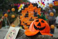 10/23～10/25 キャンプアンドキャビンズ那須高原 １