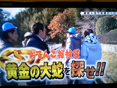 おじゃがの話とか
