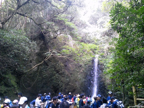 平成24年度 新人登山大会