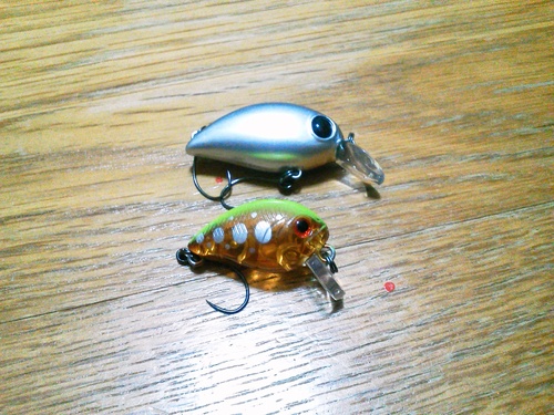 今日の散財