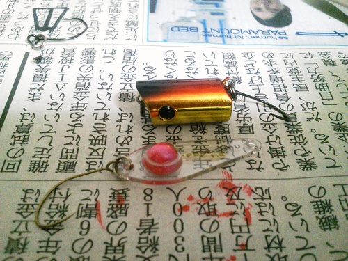 今日の散財