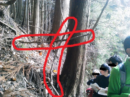 山岳部 三ノ木戸山登山