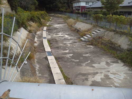 最悪な事態に陥ったがとりま野池に行ってみた