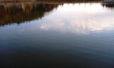 2011 初・バス釣り