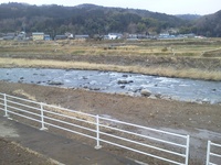 今年初渓流in狩野川
