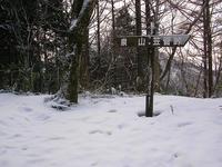 風が冷たかった泉山・・・