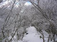 冬の泉山へ　～後編～