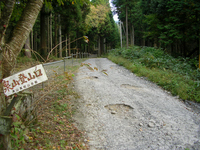 泉山縦走　～南峰・のぞき岩編～
