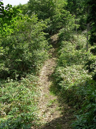 泉山