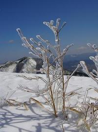 上蒜山へ　～樹氷編～