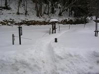 雪の毛無山  ～樹氷編～