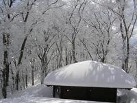 雪の毛無山　～登頂編～