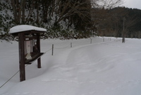 毛無山から西毛無山へ