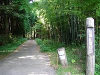 毛無山