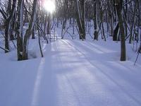 大山展望の山へ・・・