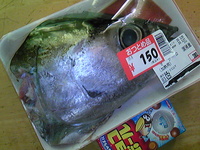 マグロヘッド
