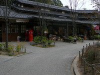お出かけ　＆　秋のごちそう