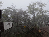 傾山&神原ｷｬﾝﾌﾟ場(中編)