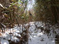 大崩山（後編）