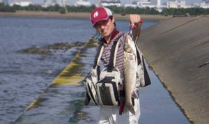 理工系ばか釣り日誌 8 7 葛西臨海公園 シーバス