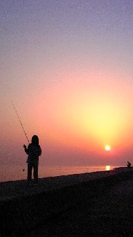 与島にて釣り　狙いはママカリ 2009/05/10 21:23:32