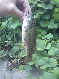 岩切付近 2009/08/03 13:43:06
