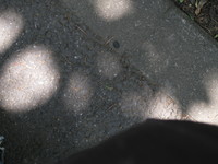 最近のいろいろ・・・ 2011/06/05 00:32:50