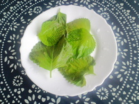 今はなにを食ったらいい？（放射能の恐ろしさ） 2011/06/12 07:04:18