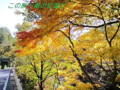 吾妻渓谷の紅葉