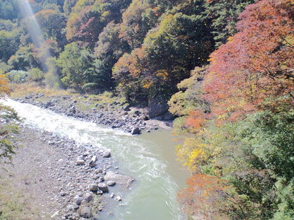 吾妻渓谷の紅葉