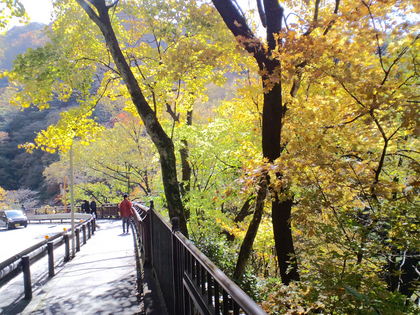 吾妻渓谷の紅葉