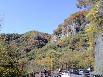 吾妻渓谷の紅葉