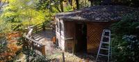 紅葉まっさかりの中でBBQ 2010/11/30 10:33:02