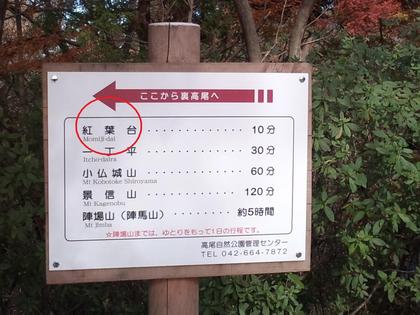 ちょっと遅めの高尾山紅葉－３（高尾山頂～もみじ台～高尾山頂）