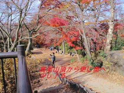 ちょっと遅めの高尾山紅葉－３（高尾山頂～もみじ台～高尾山頂）