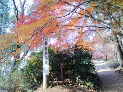 ちょっと遅めの高尾山紅葉－３（高尾山頂～もみじ台～高尾山頂）