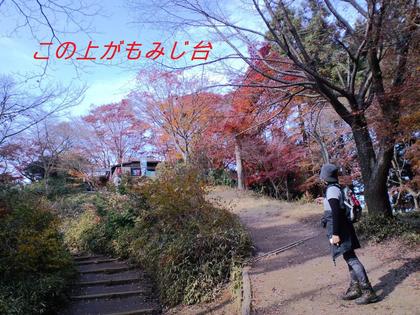 ちょっと遅めの高尾山紅葉－３（高尾山頂～もみじ台～高尾山頂）