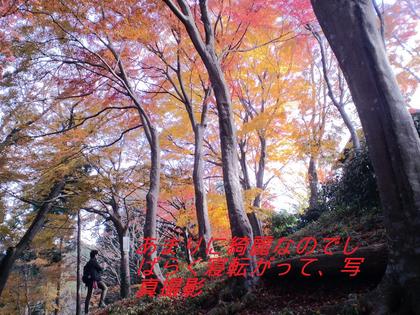 ちょっと遅めの高尾山紅葉－３（高尾山頂～もみじ台～高尾山頂）