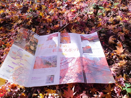 ちょっと遅めの高尾山紅葉－３（高尾山頂～もみじ台～高尾山頂）