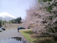 富士桜ミツバツツジまつり 2011/05/03 10:25:53