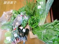 野菜価格比較：都内唯一の道の駅「滝山」での収穫と？ 2010/10/14 08:00:06