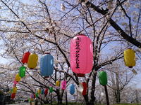 阿波徳島の桜ー３（農業大学校の桜） 2010/04/06 18:00:00