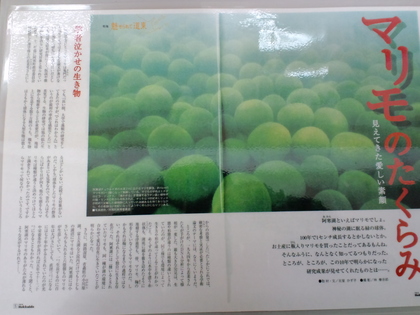 エコミュージアム訪問