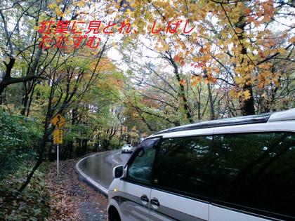 紅葉のドライブ旅（佐久平SA~白根ハイウエイ入口）