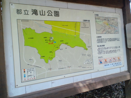 滝山城址の桜