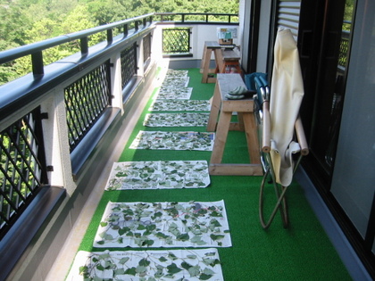 そうだ、どくだみ茶をつくろう